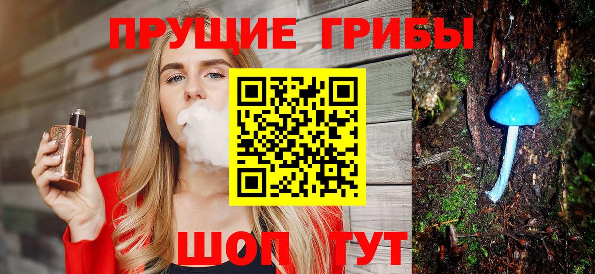 Красноармейск  дарнет шоп  Вход с VPN  Псилоцибиновые грибы прущие грибы 