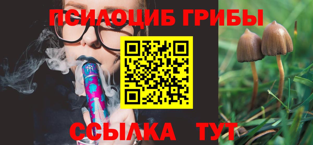 Псилоцибиновые грибы MAGIC MUSHROOMS Красноармейск